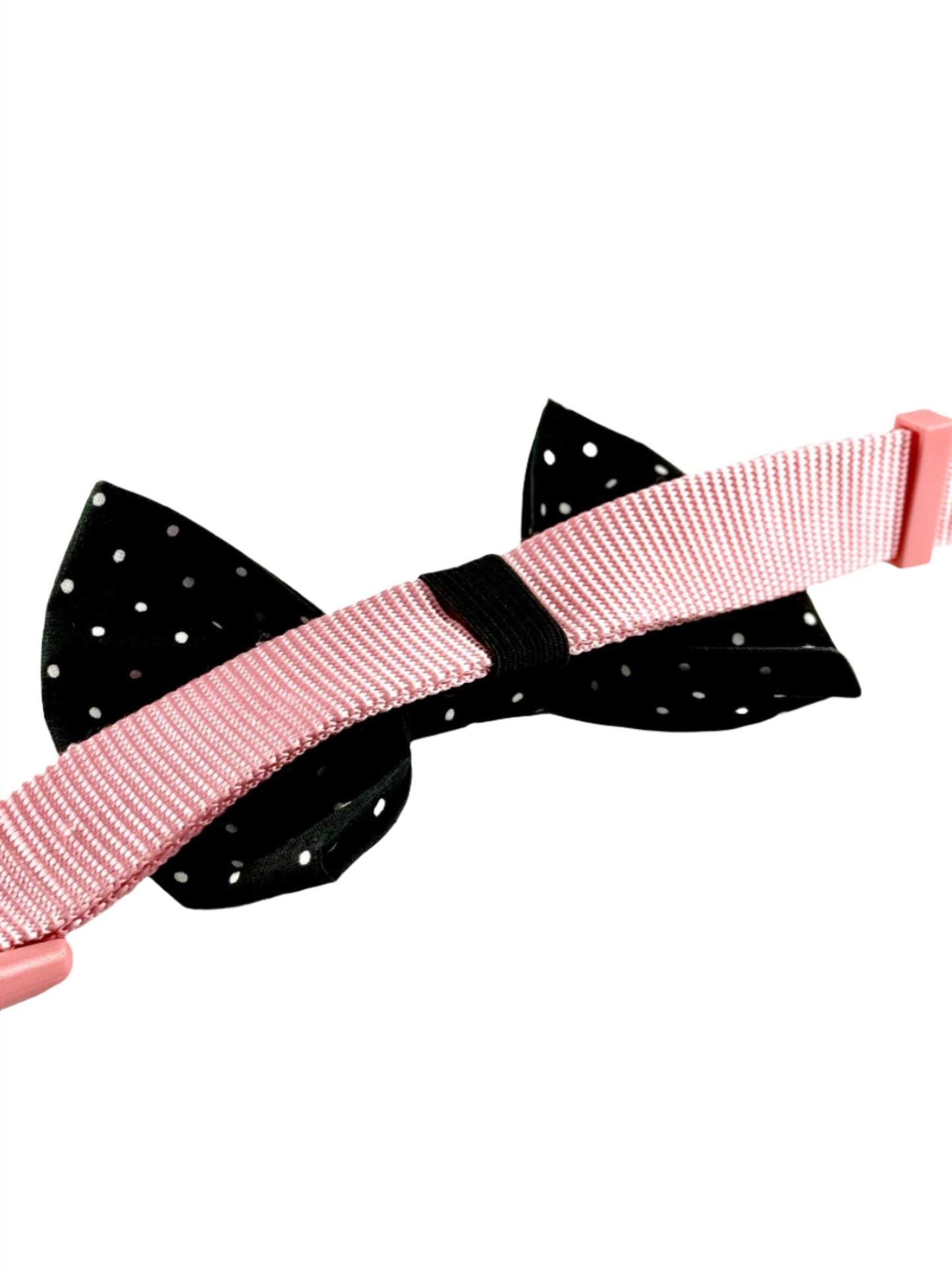 Black Pawlka Dot
