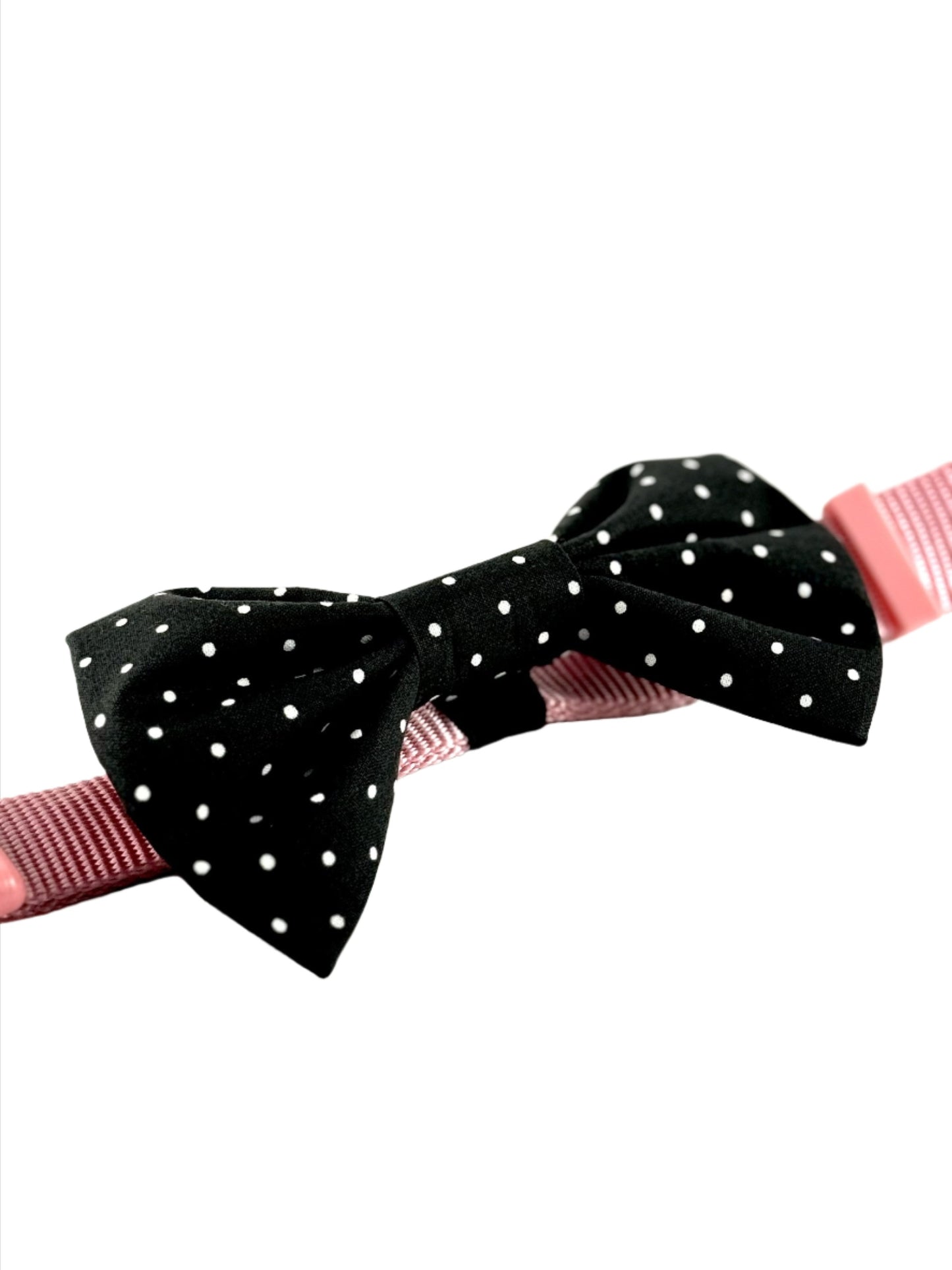Black Pawlka Dot