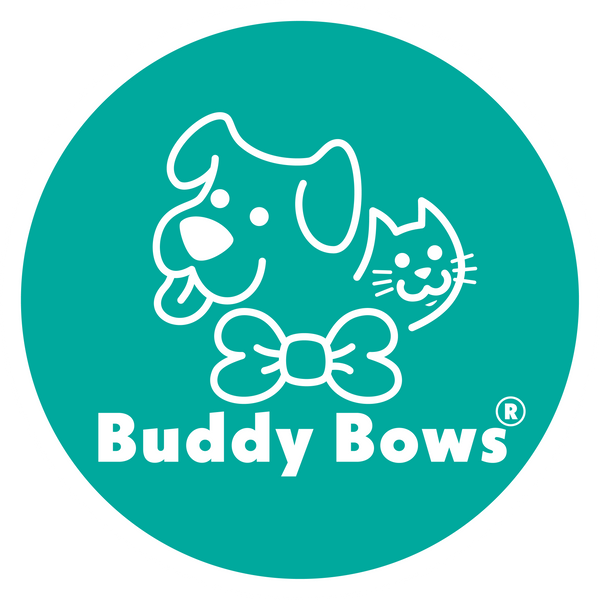 Buddy Bows