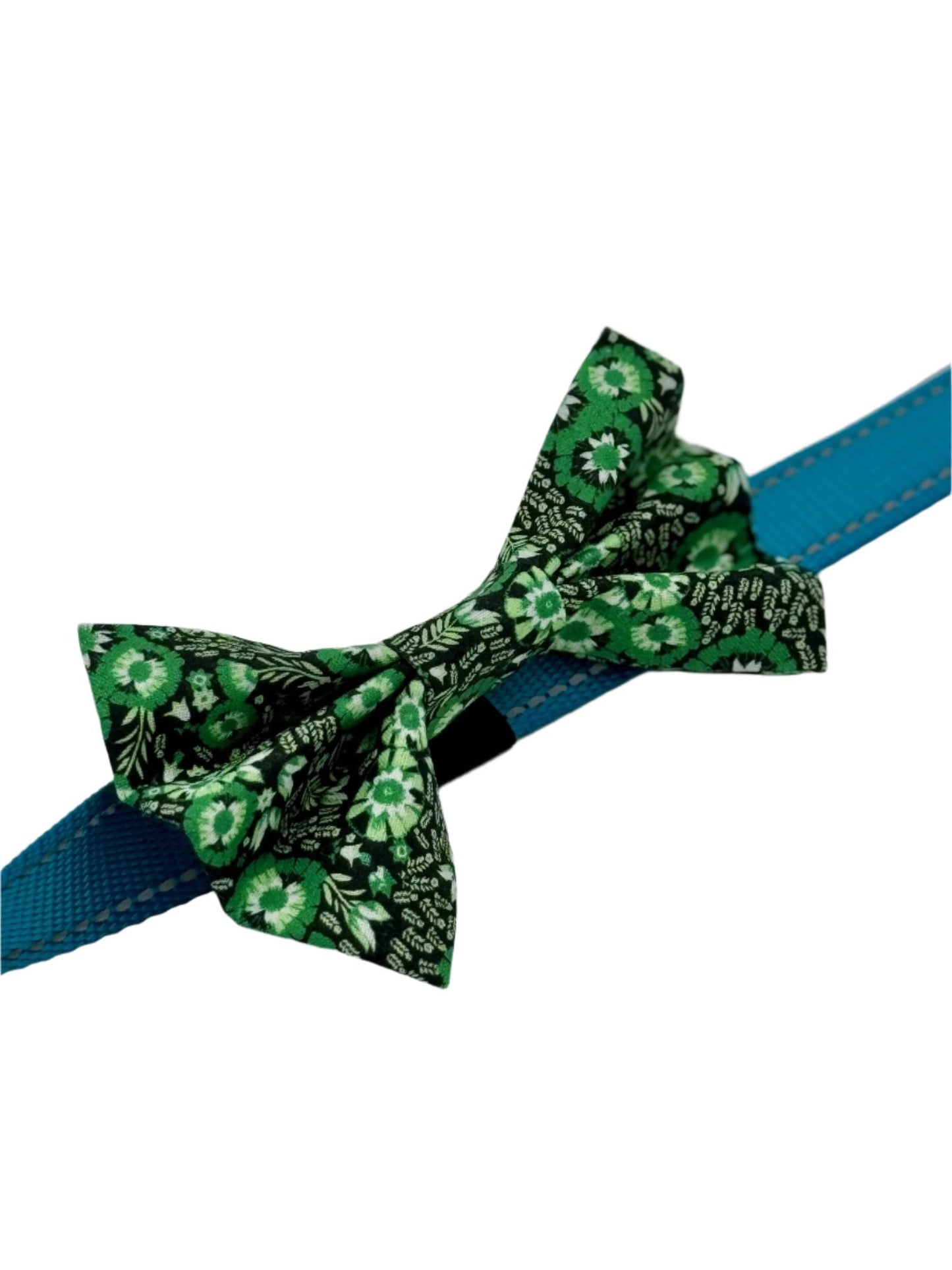 Green Jalapawño