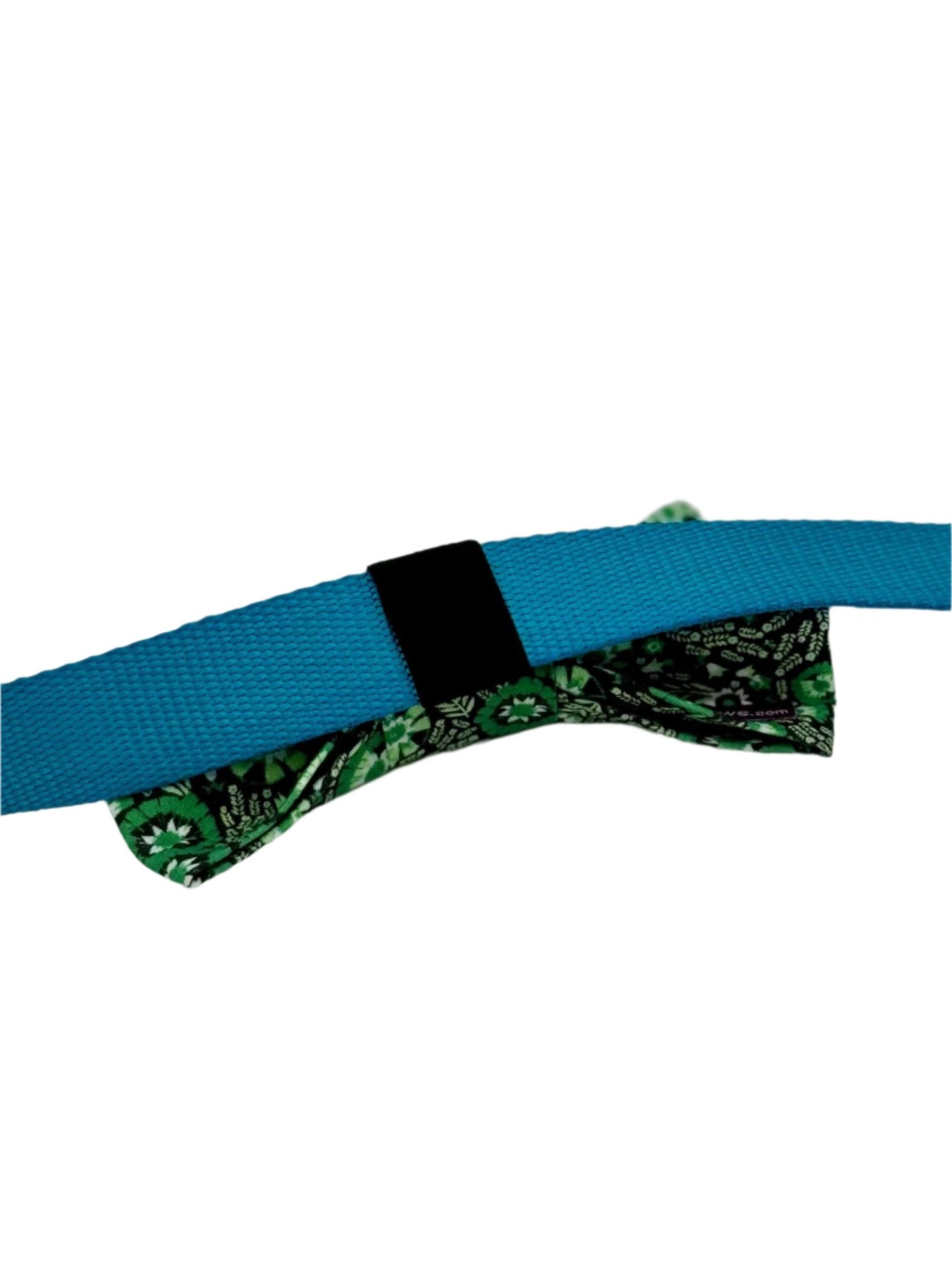 Green Jalapawño