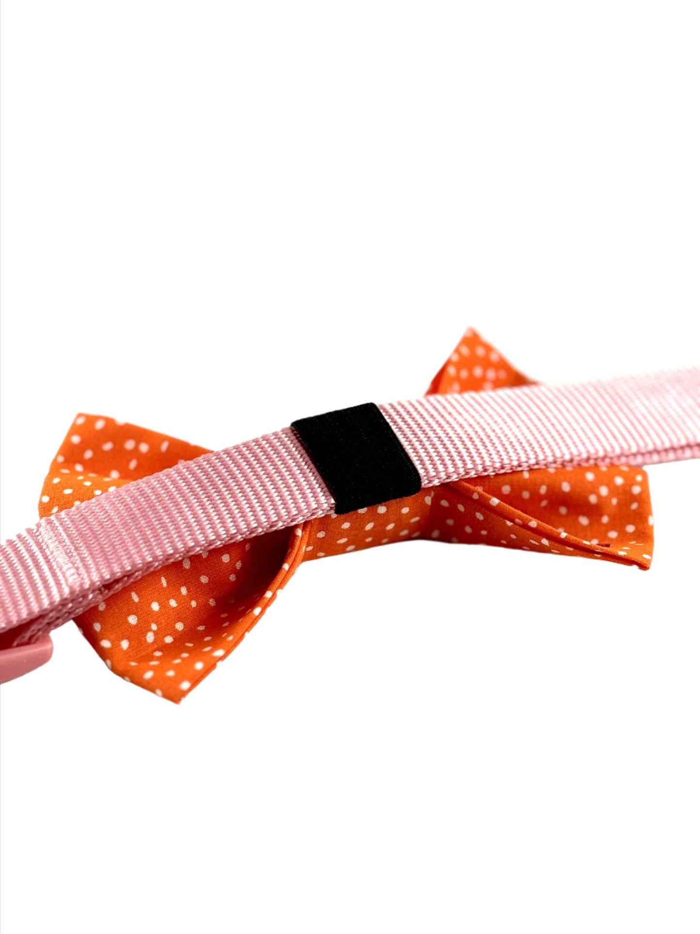 Orange Pawlka Dot