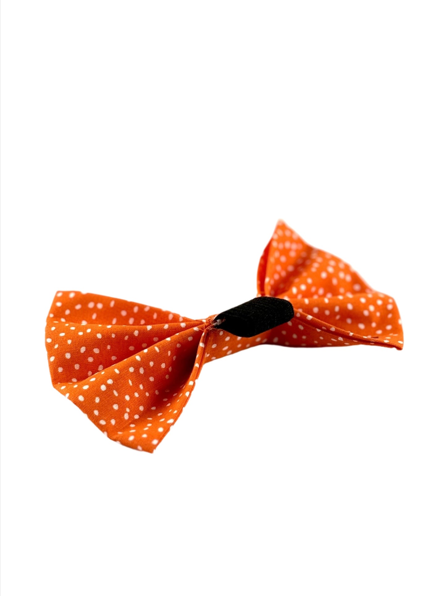 Orange Pawlka Dot