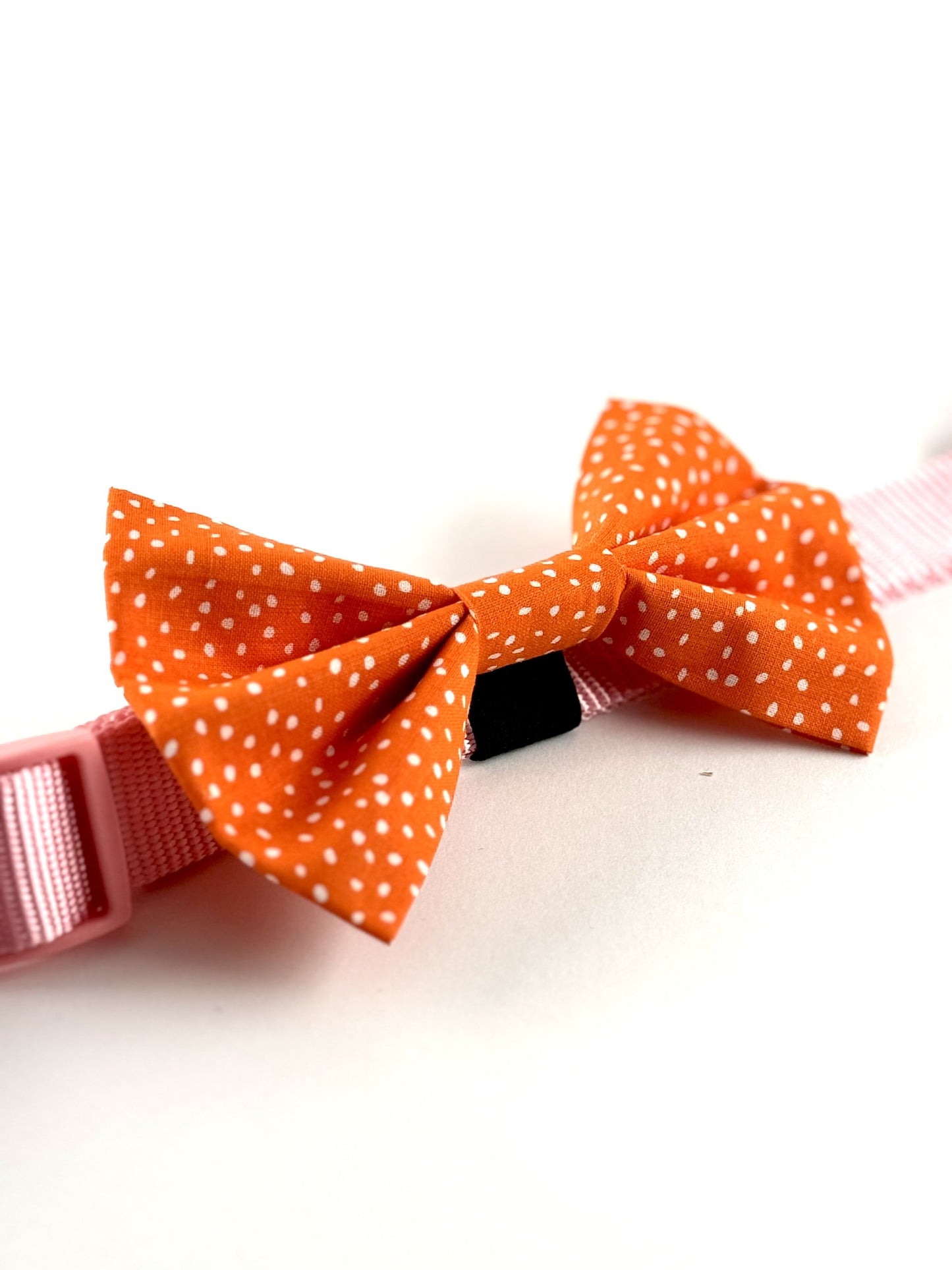 Orange Pawlka Dot