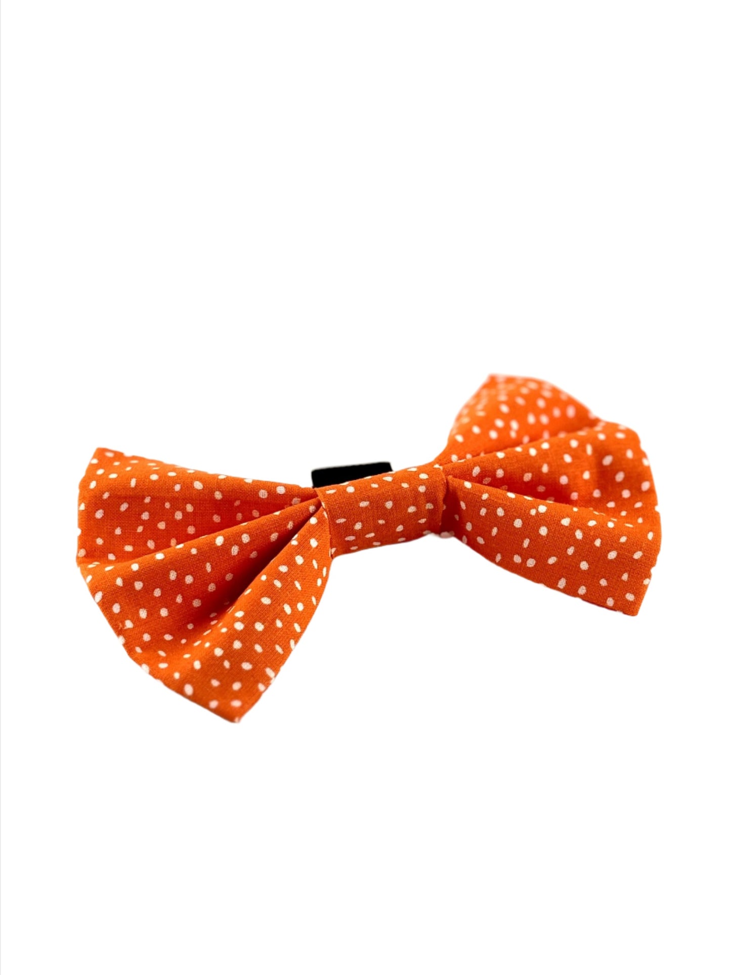 Orange Pawlka Dot