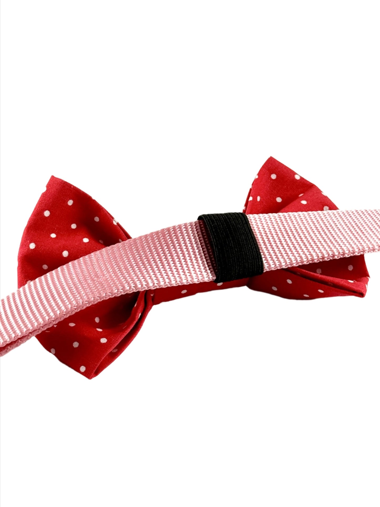 Red Pawlka Dot