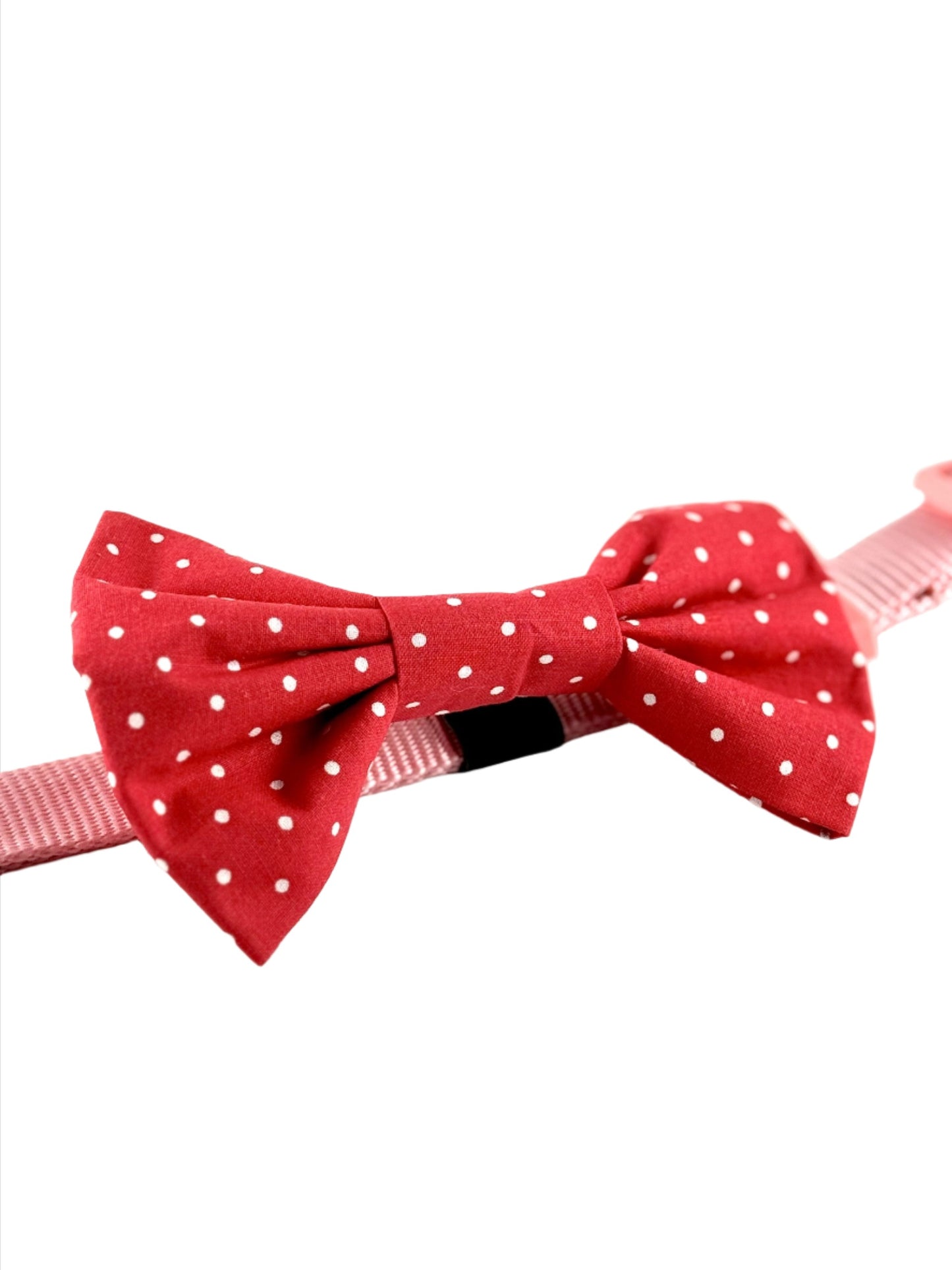 Red Pawlka Dot