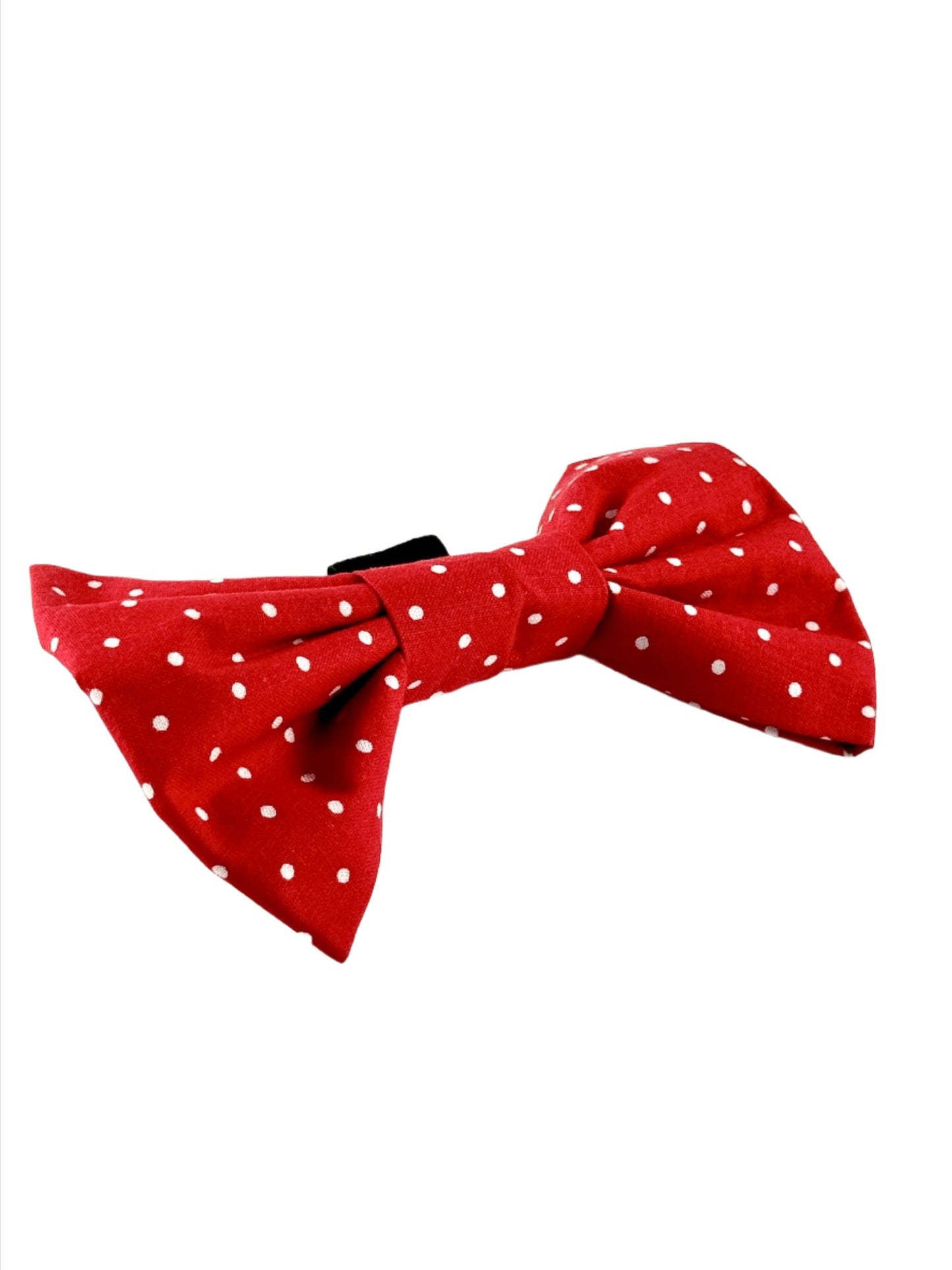 Red Pawlka Dot