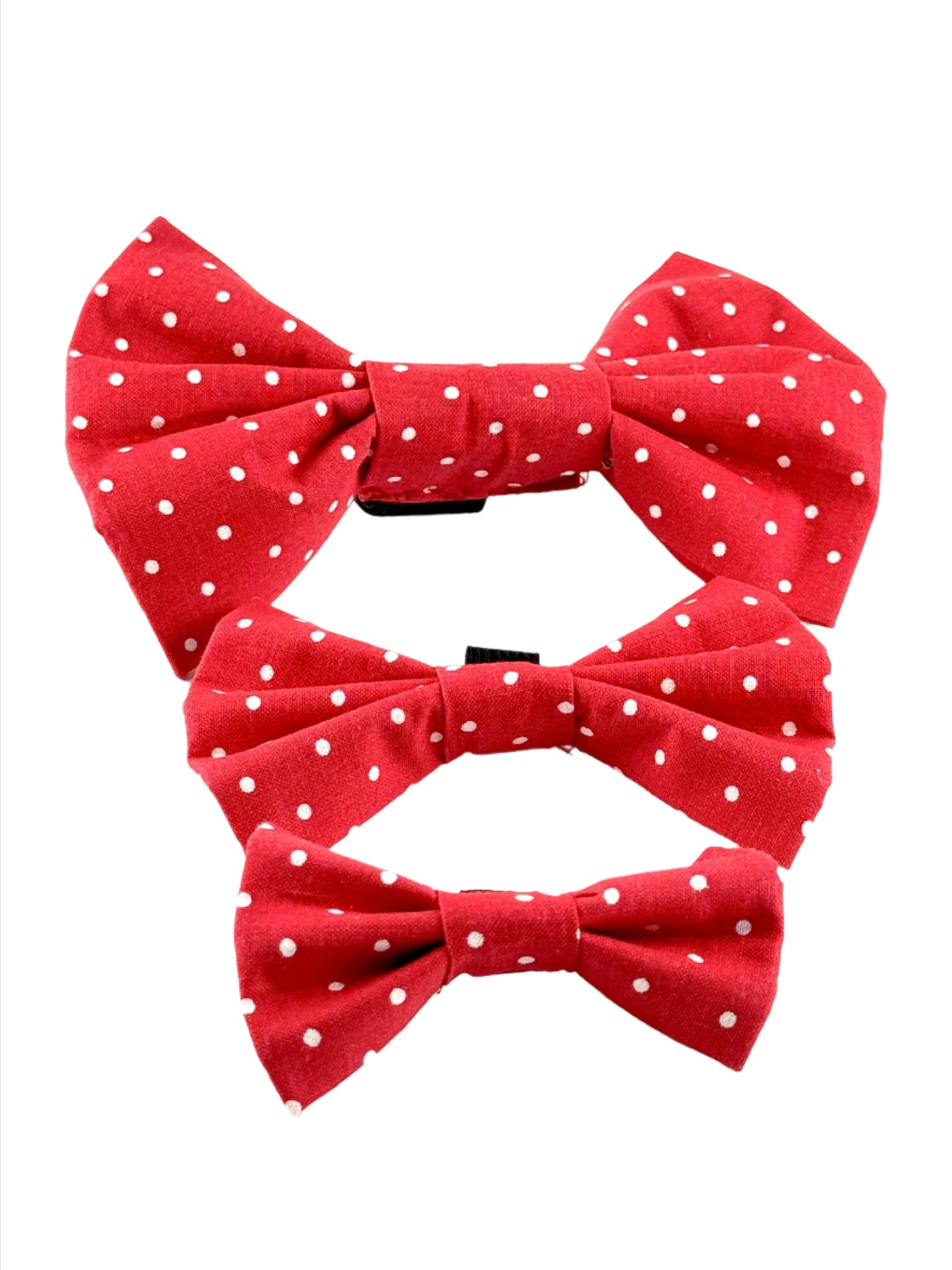 Red Pawlka Dot